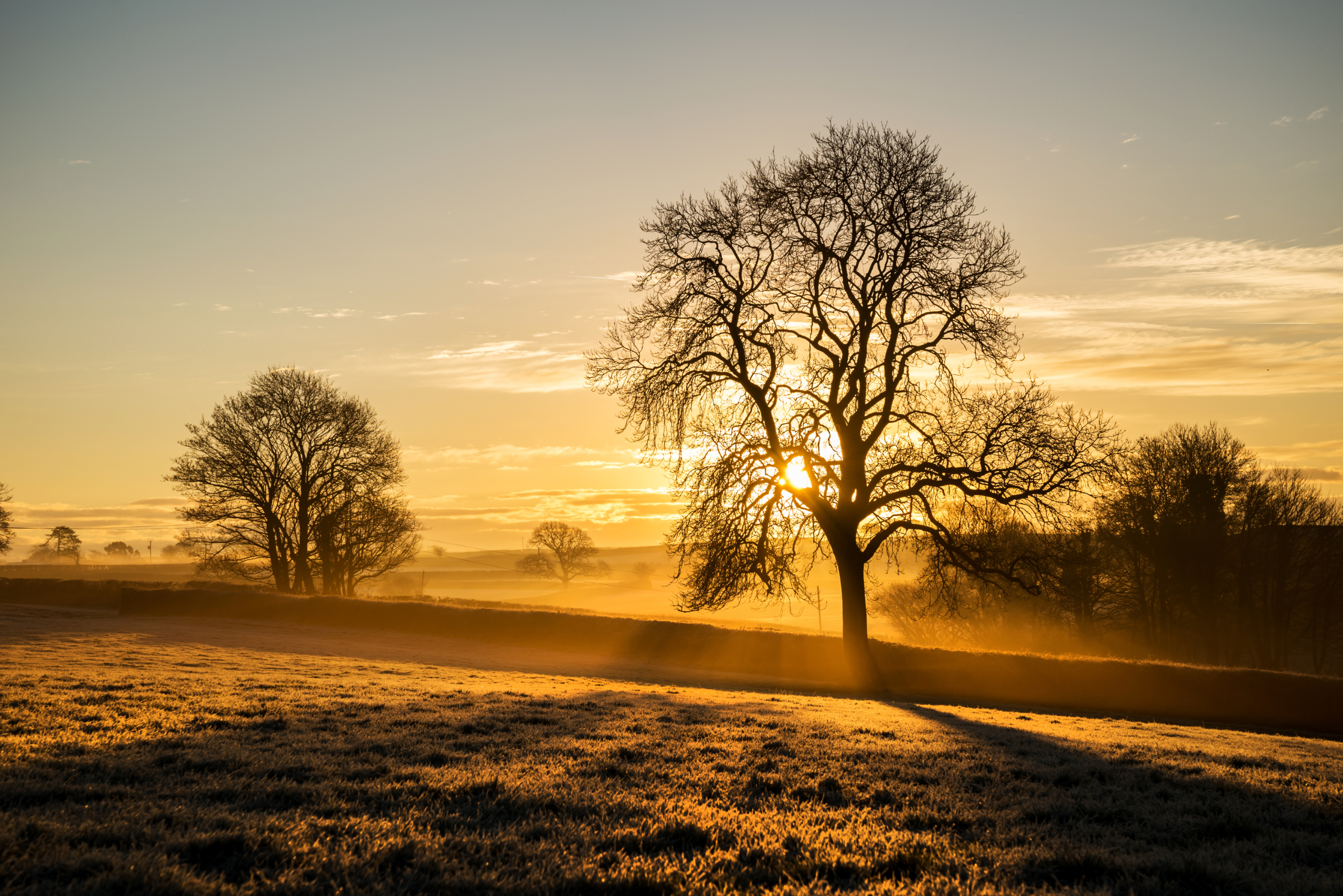 Adobestock 75954698